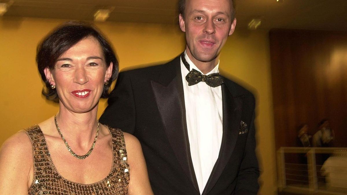 friedrich merz privatvermögen