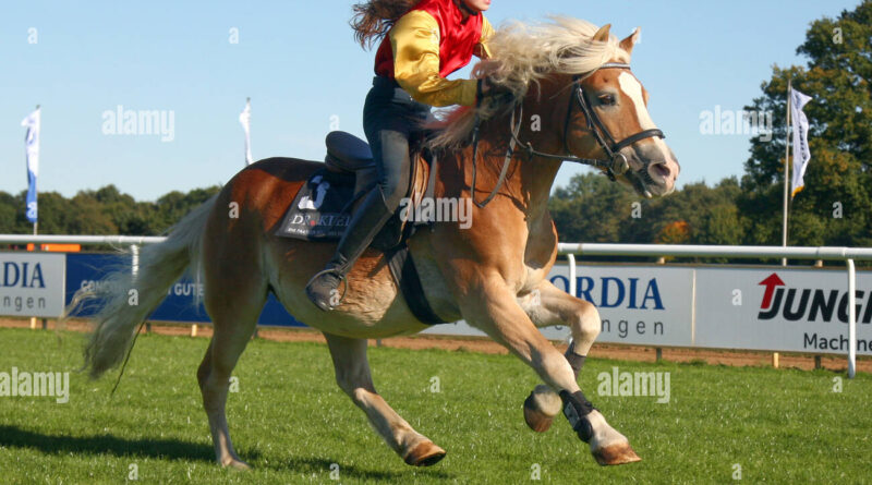 gracia von der leyen